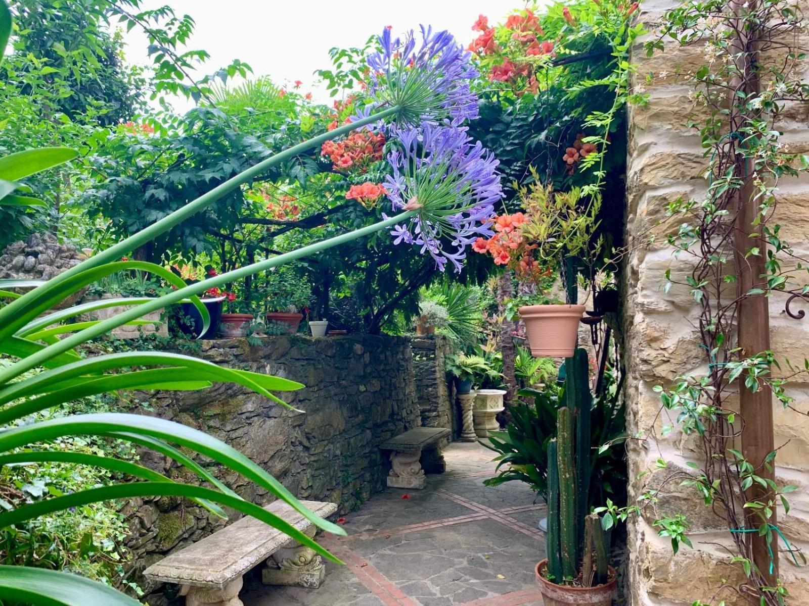 Borgata Cantone Country House B&B Garlenda Ngoại thất bức ảnh